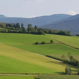 Wiesengrün - Osserblick Lam